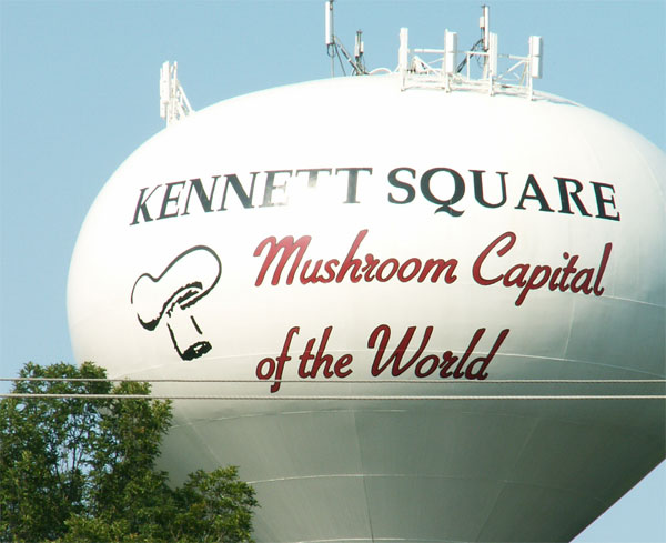 You are currently viewing Kennett Square and Immigration Policy